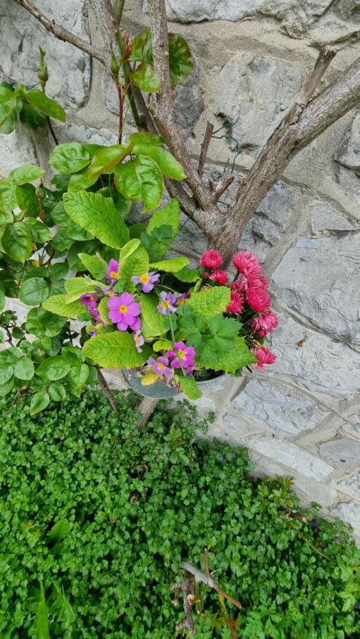 Le Gite De La Gray House Mettet Dış mekan fotoğraf